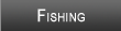 Melton Hill Lake Fishing